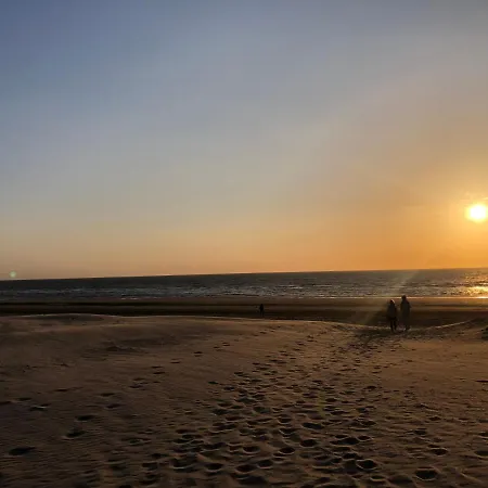 Studio - 100m From And Dunes Wijk aan Zee